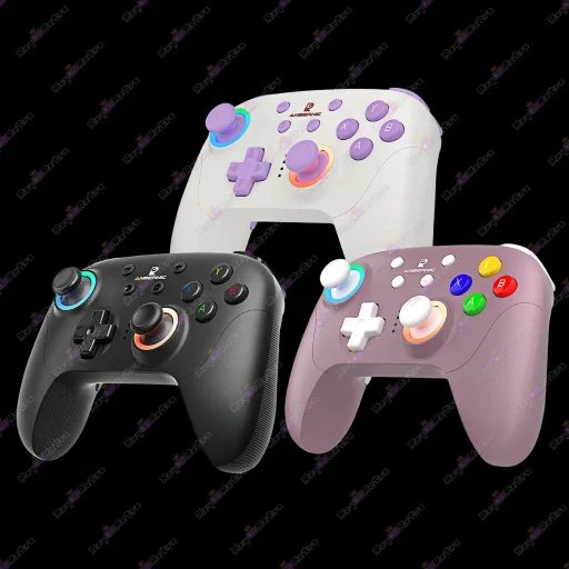 Anbernic_RG_P01.01 - 🎮 Anbernic RG P01 - Mando Multiplataforma con Gatillos Hall y RGB